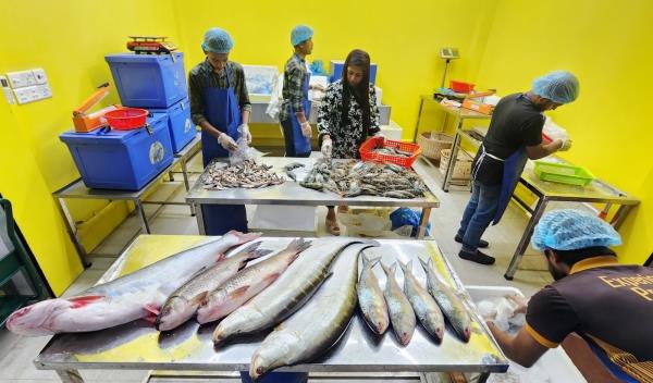 法尔扎娜·阿克特的品牌“河鱼”目前提供80多种来自河流和湿地的当地鱼类。照片：Mehedi Hasan